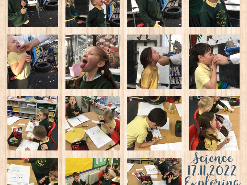 Lenham Primary School lenham-primary-school